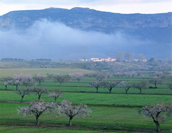 Paisaje y Territorios