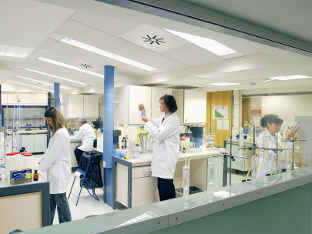 Investigadores trabajando en un laboratorio