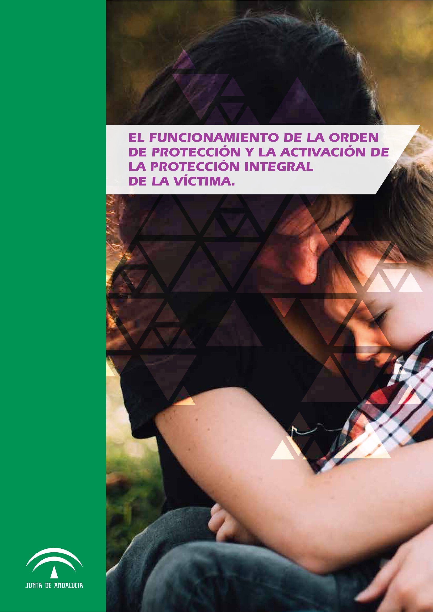 El funcionamiento de la orden de protección y la activación dela protección integral de la víctima. 