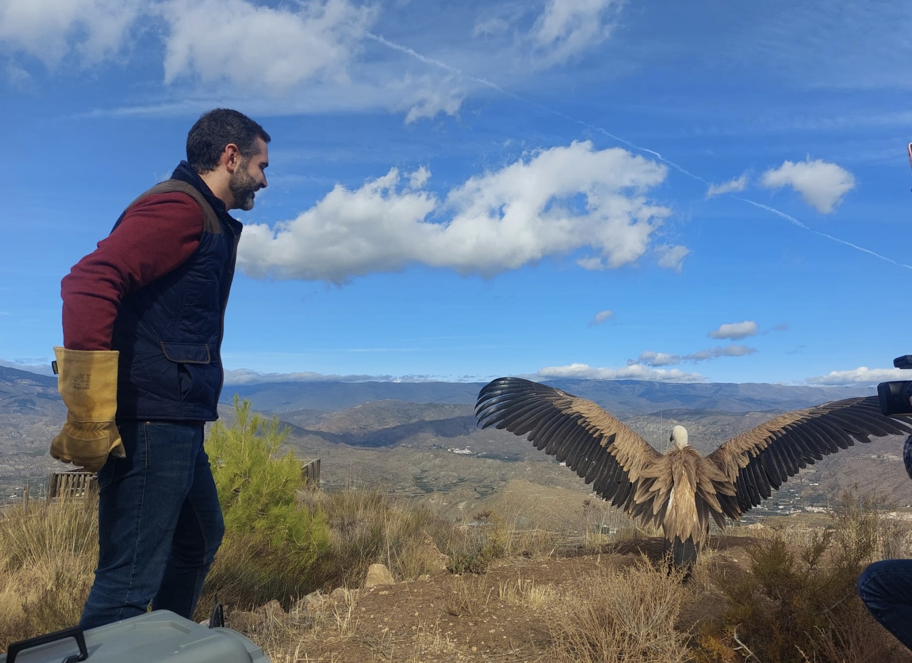 Fernández-Pacheco participa en la suelta de un buitre leonado, tratado en el CREA.