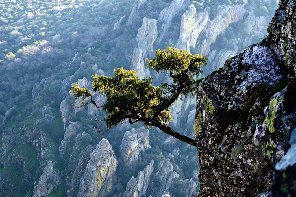 Parque Natural de Despeñaperros, en la provincia de Jaén.