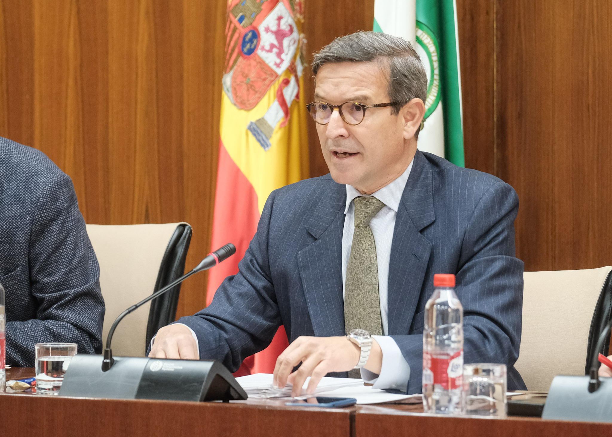 El consejero de Política Industrial y Energía, Jorge Paradela, en comisión parlamentaria.