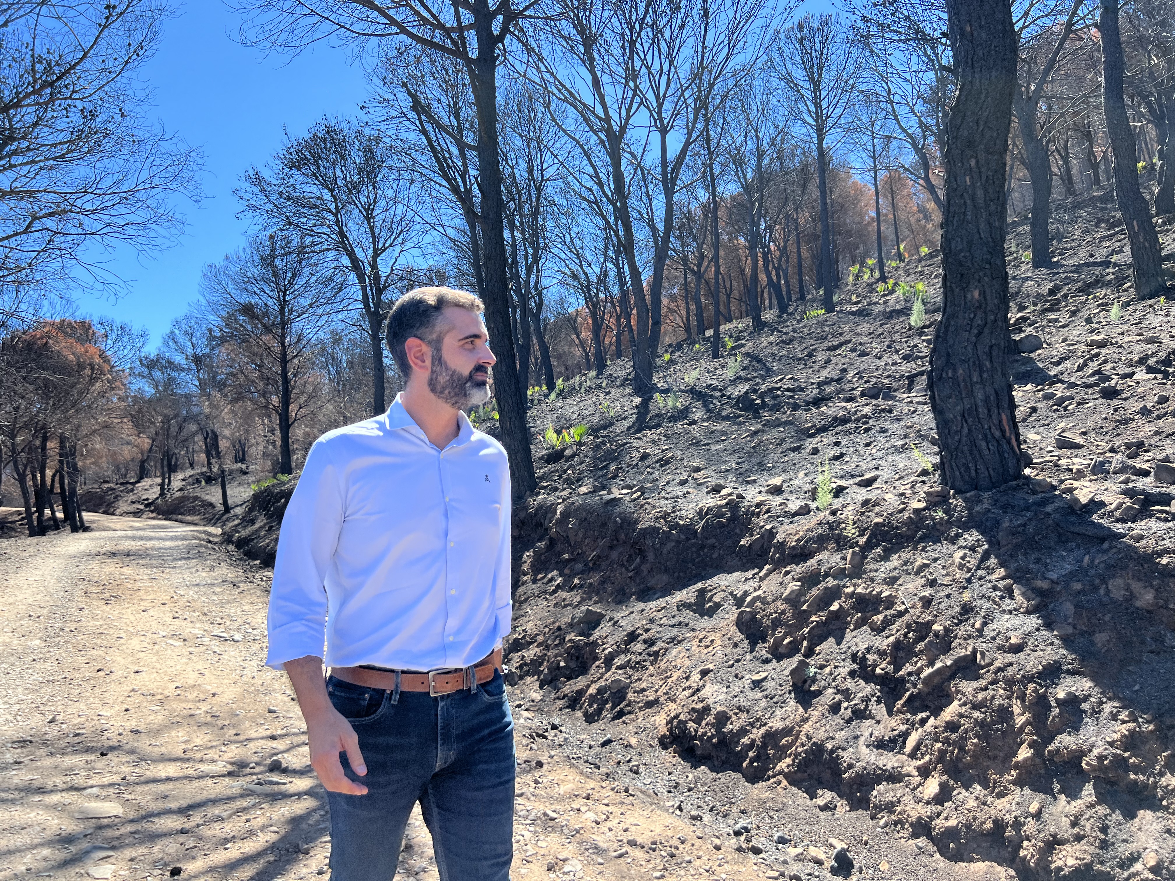 El consejero de Sostenibilidad, Ramón Fernández-Pacheco, durante una visita a las obras de restauración forestal de Sierra Bermeja, en Málaga