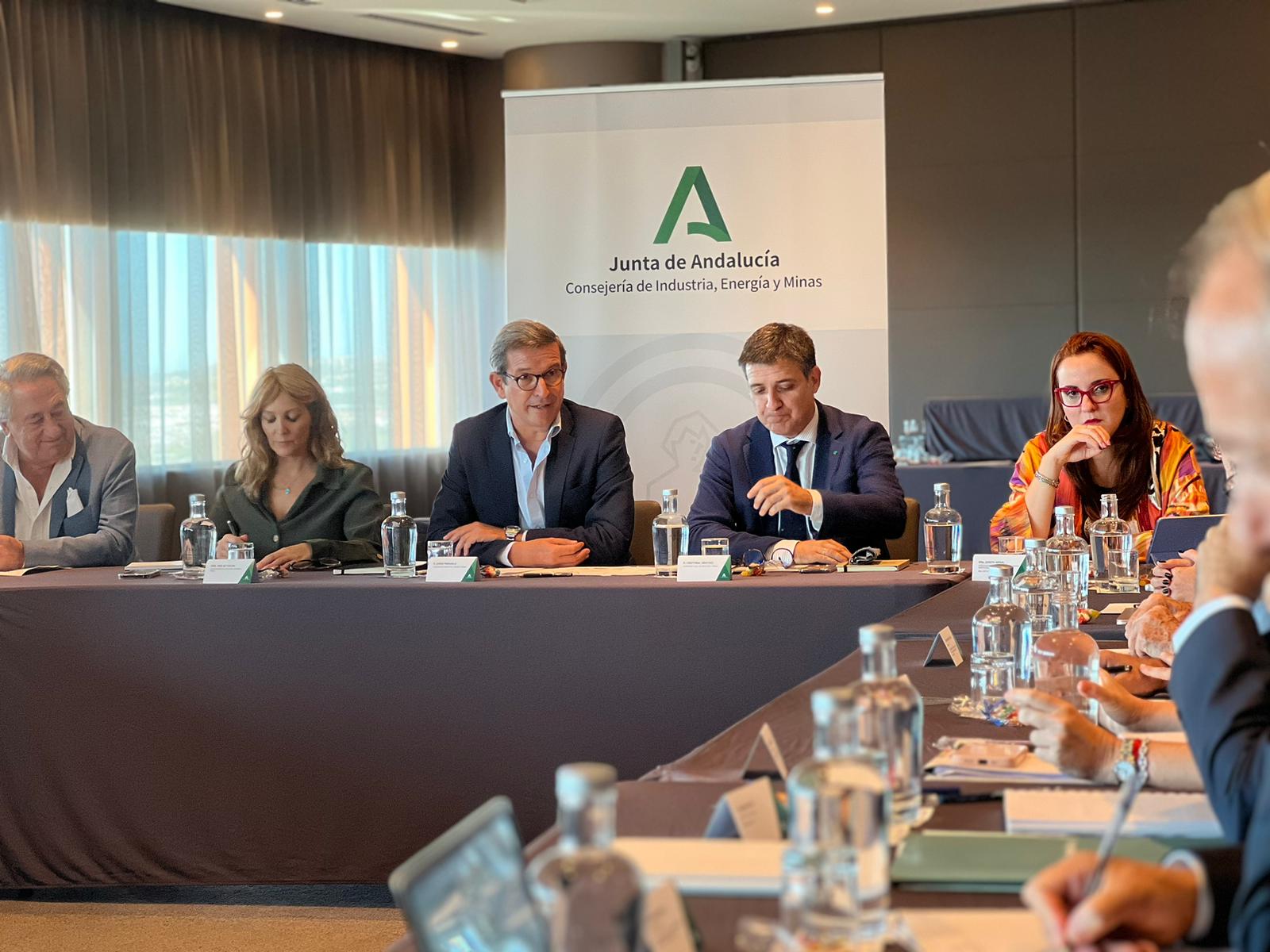 El consejero de Industria, Energía y Minas, Jorge Pardela, durante la primera reunión del 'Think tank' para impulsar la competitividad de la industria en Andalucía.