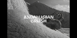 Andalusian Crush