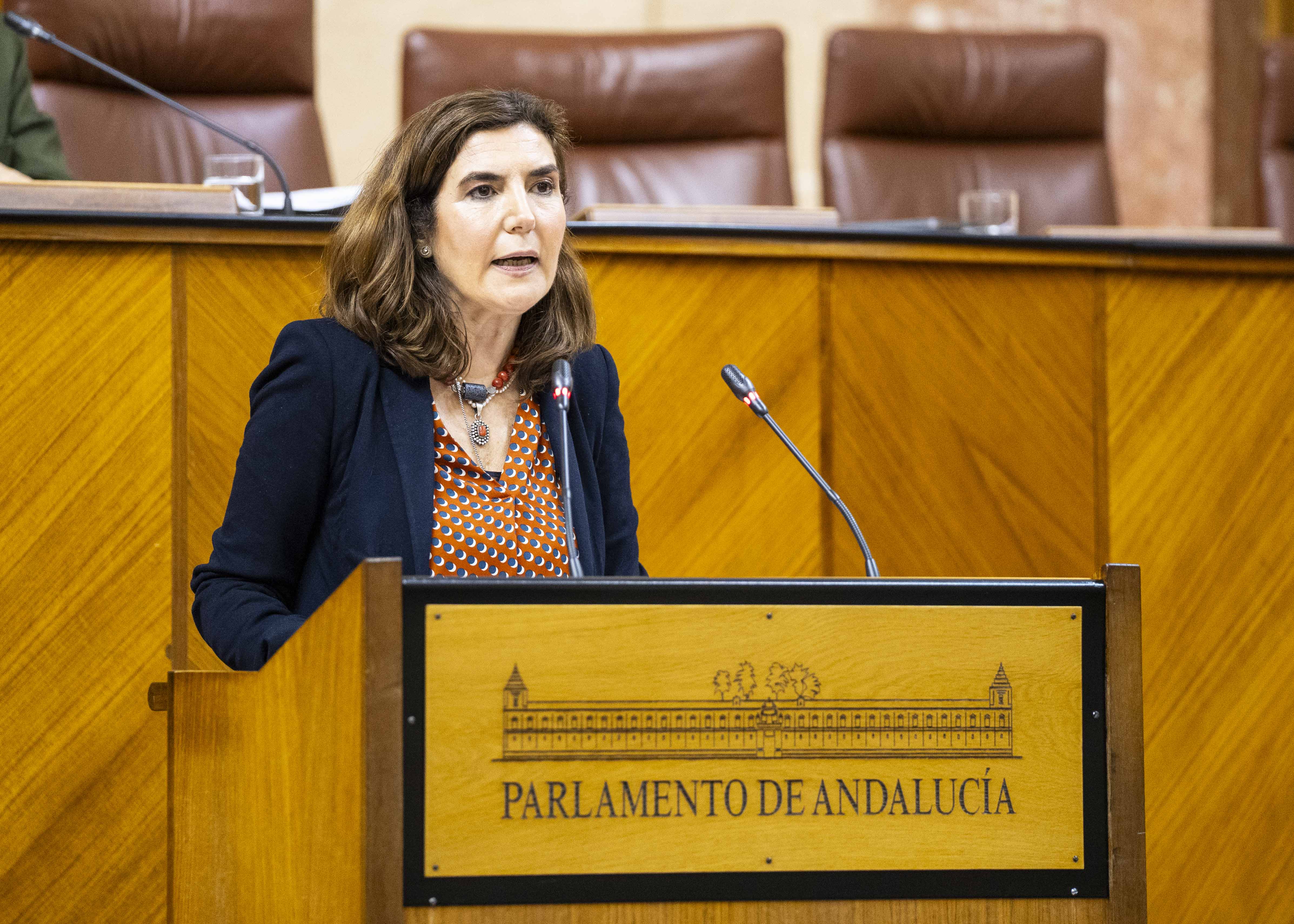 Rocío Blanco, consejera de Empleo, se dirige a los diputados andaluces desde la tribuna del salón de Plenos del Parlamento.