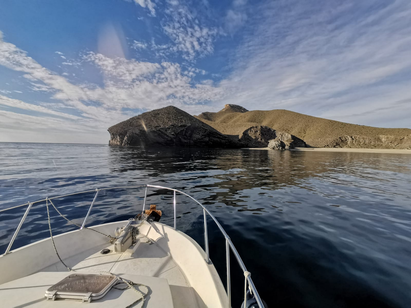 El litoral almeriense es el lugar de anidación elegido del cormorán moñudo 