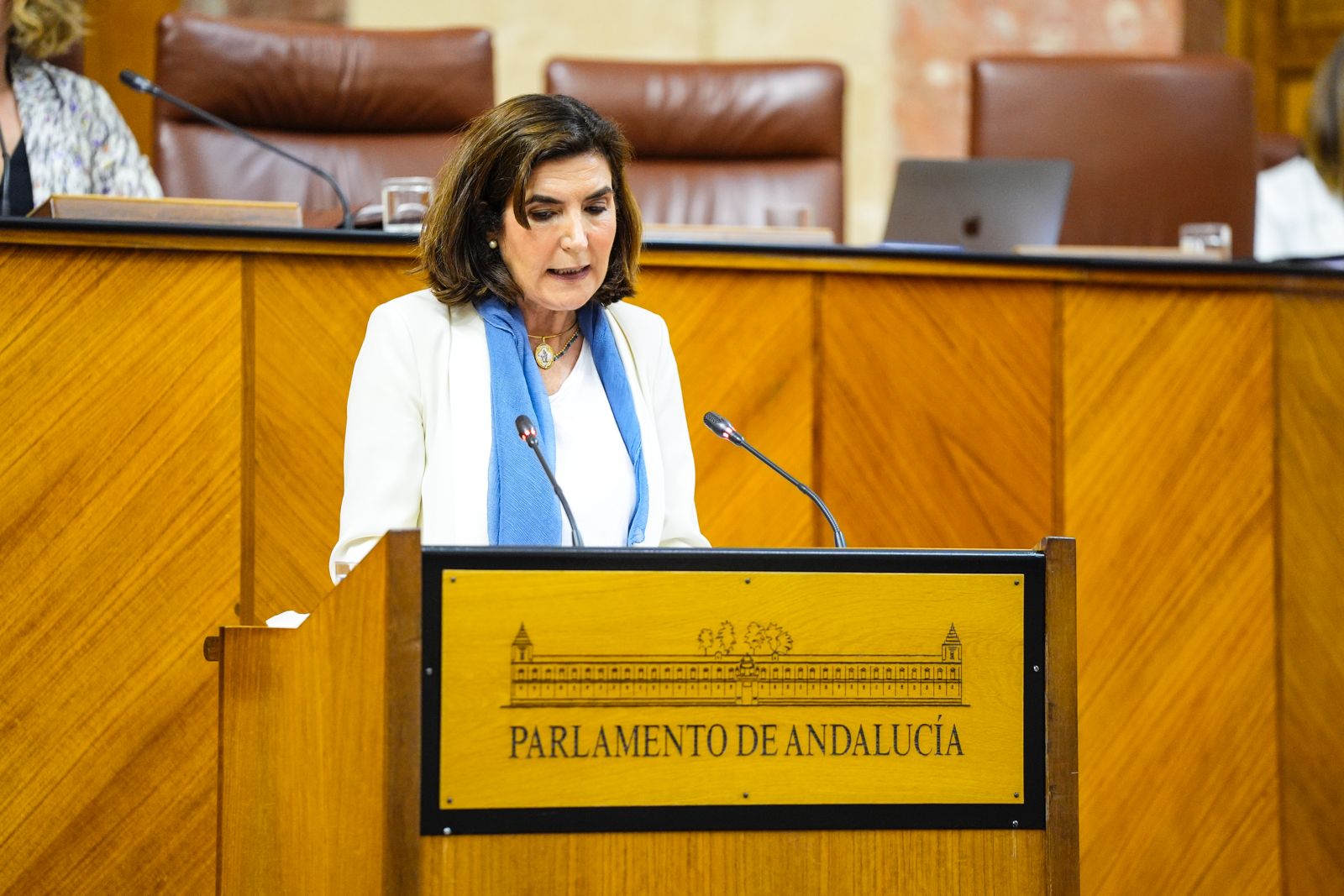 Rocío Blanco ante el Pleno del Parlamento