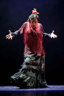 Actuación de Eva Yerbahuena dentro del ciclo 'Andalucía.flamenco' en el Teatro Alhambra