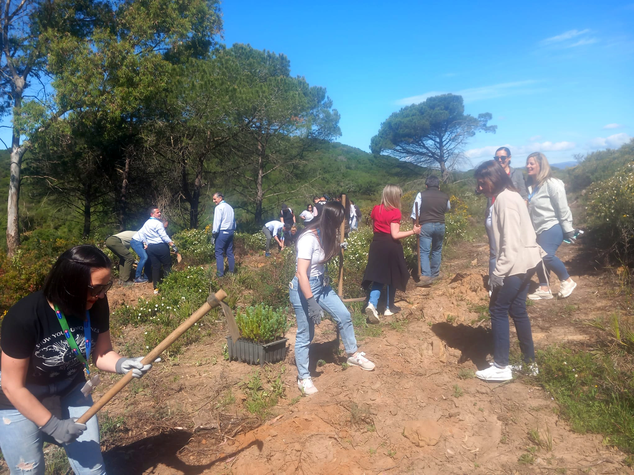 Reforestación Monte La Alcaidesa