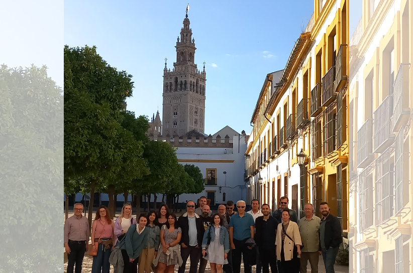 Reunión NATMed Sevilla