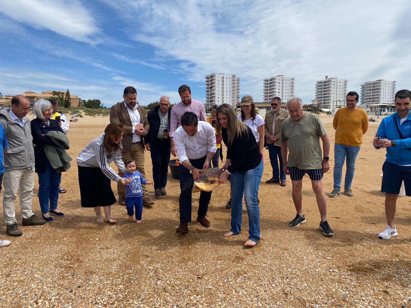 Suelta de torrtuga boba en Punta Umbría