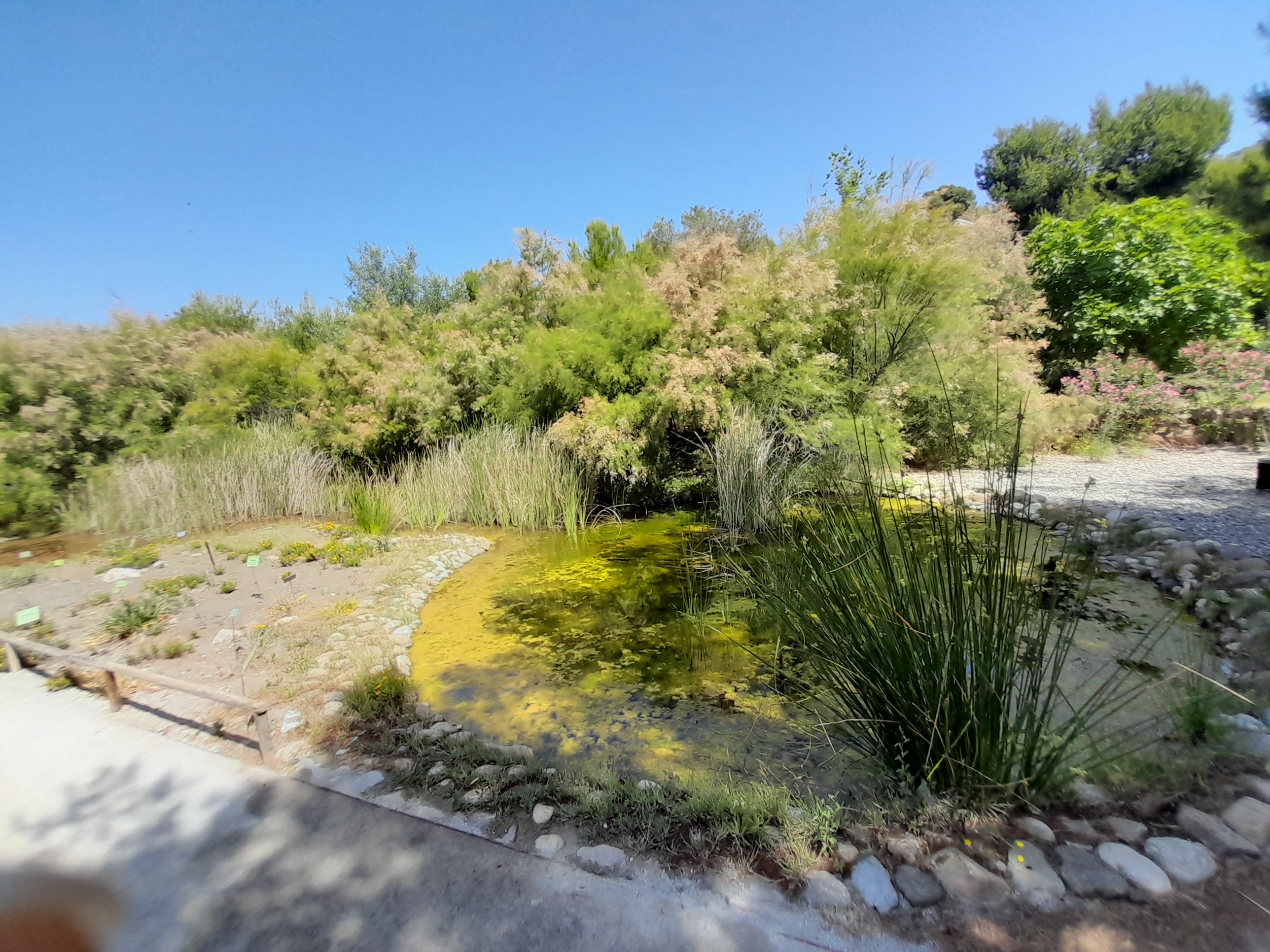 Jardín Botánico Detunda-Cueva de Nerja