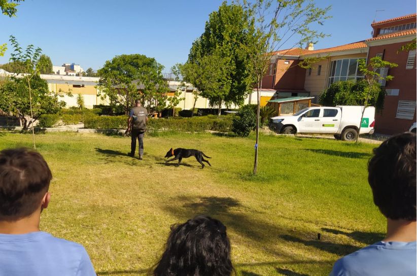 Demostración canina en la Estrategia Andaluza contra el Veneno