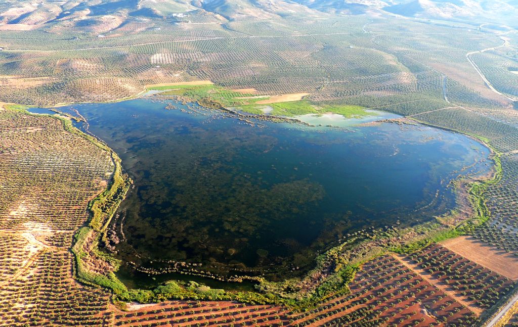 Laguna del Salobral.