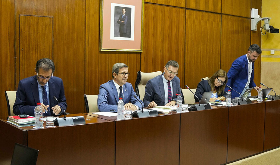 El consejero de Industria, Energía y Minas, Jorge Paradela, en Comisión del Parlamento andaluz.