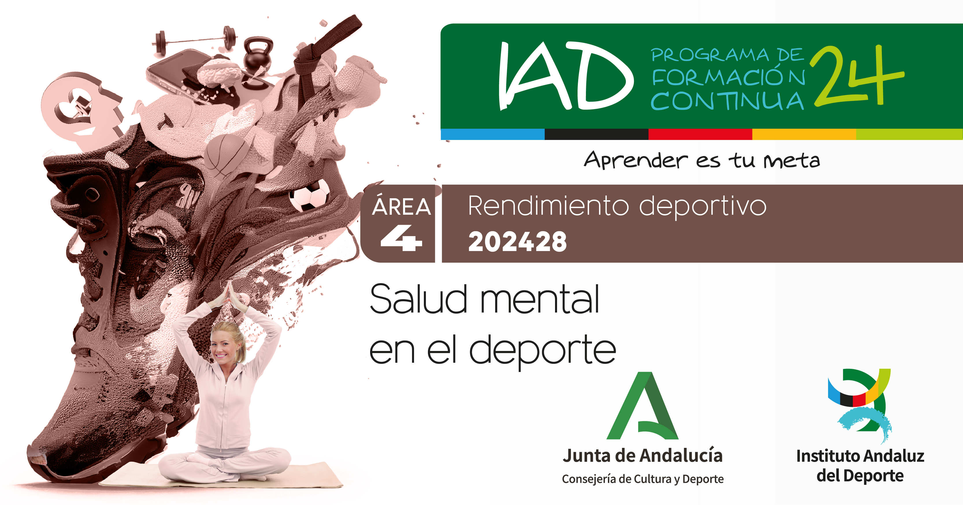 Portada IAD curso 202428