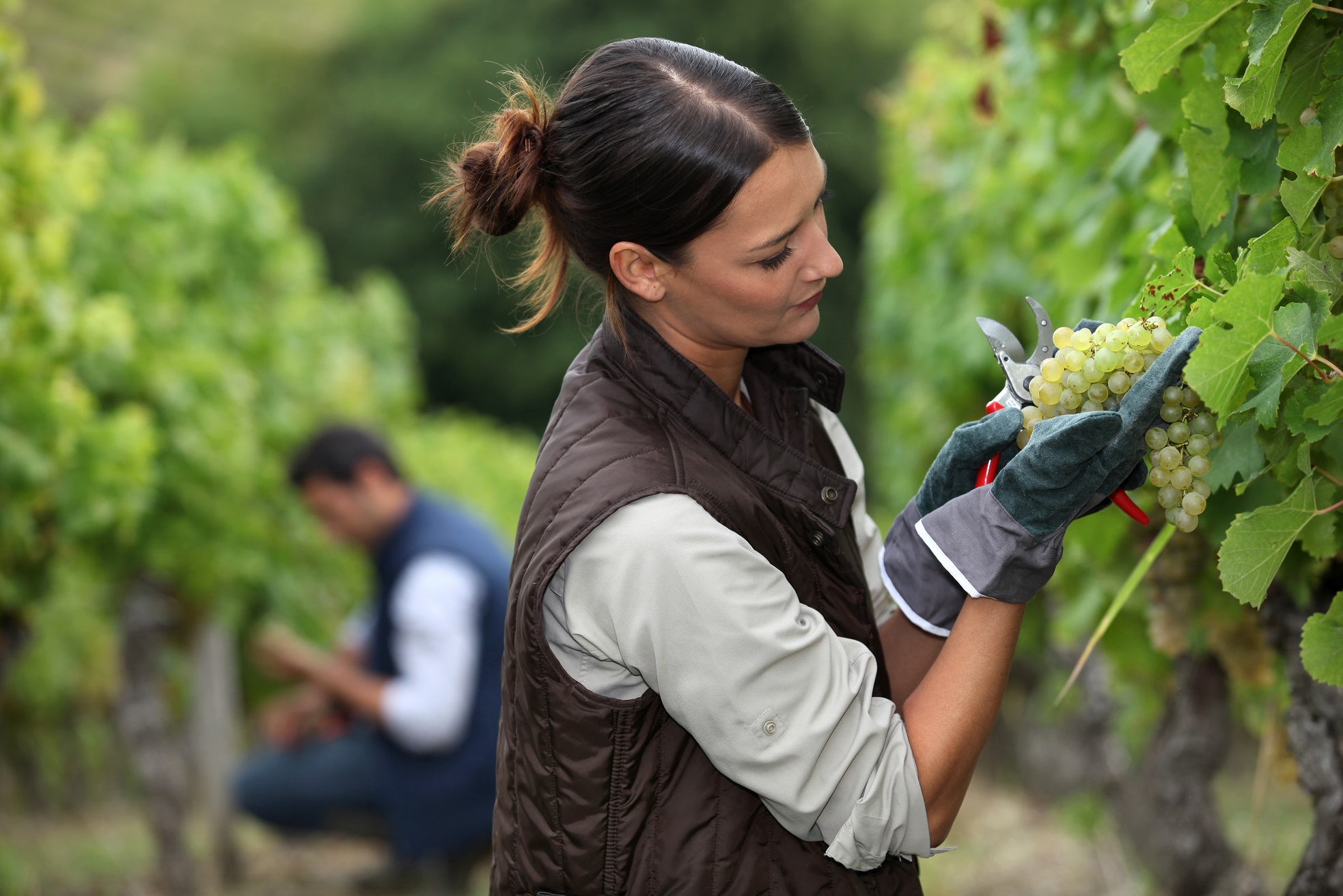 Joven agricultora