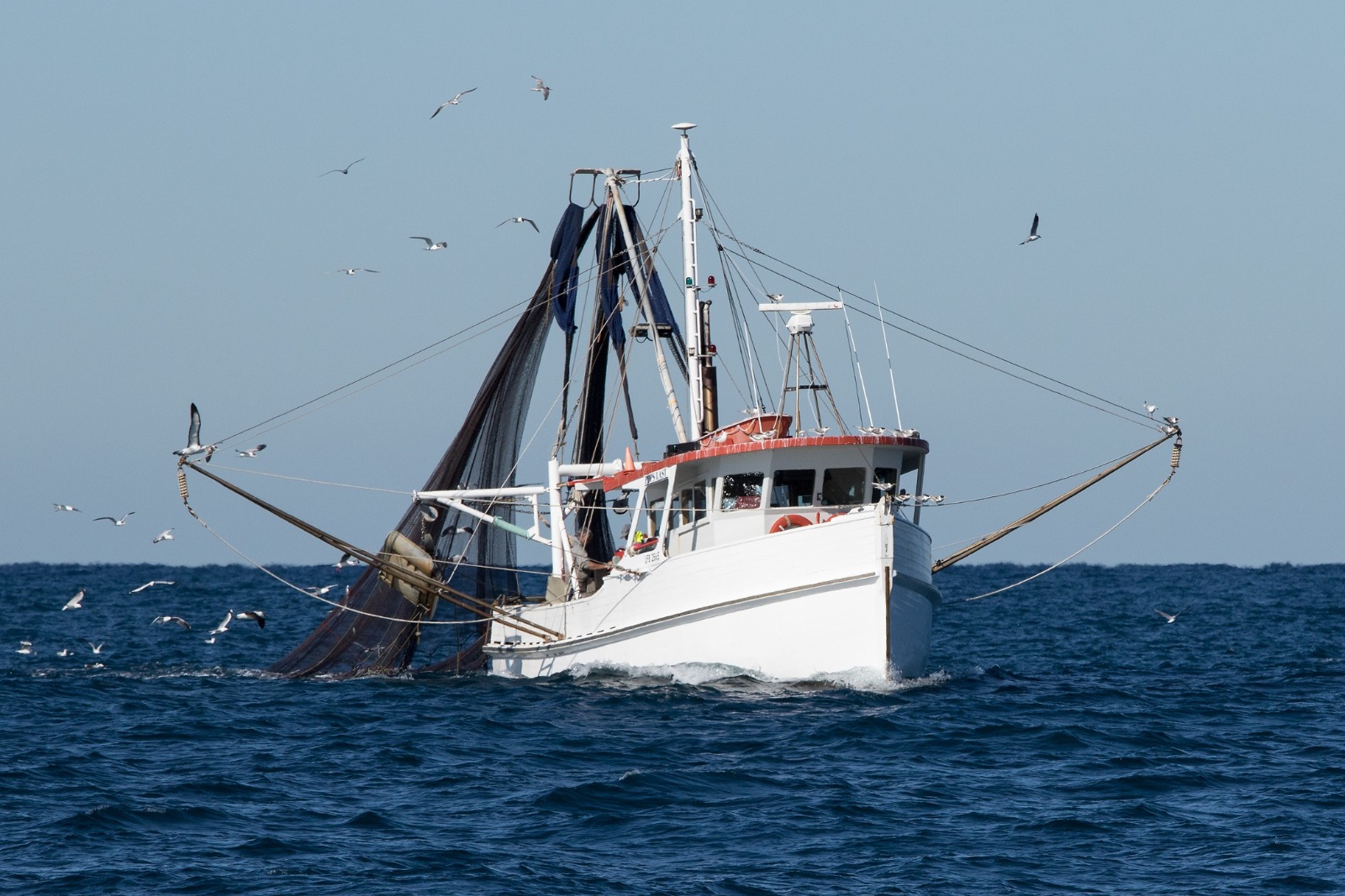 Pesca de cerco en el Golfo de Cádiz.