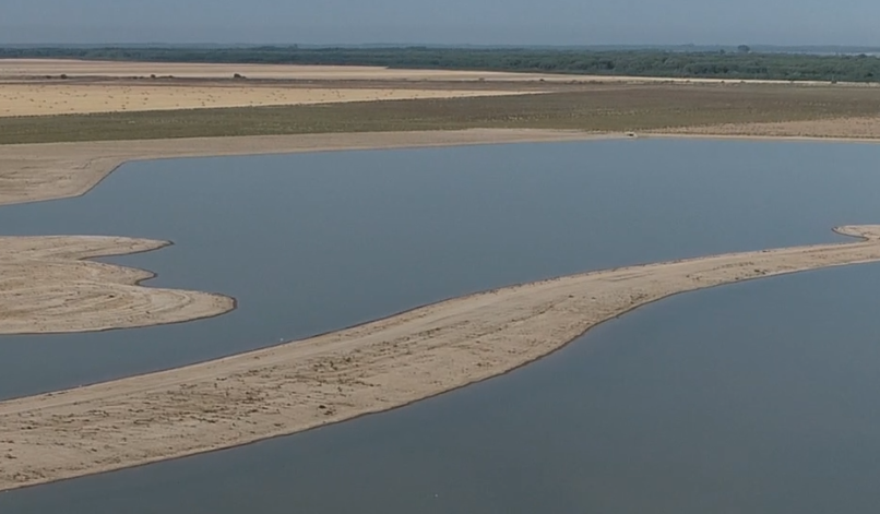 Recuperación humedales del bajo Guadalquivir (Trebujena, Cádiz)