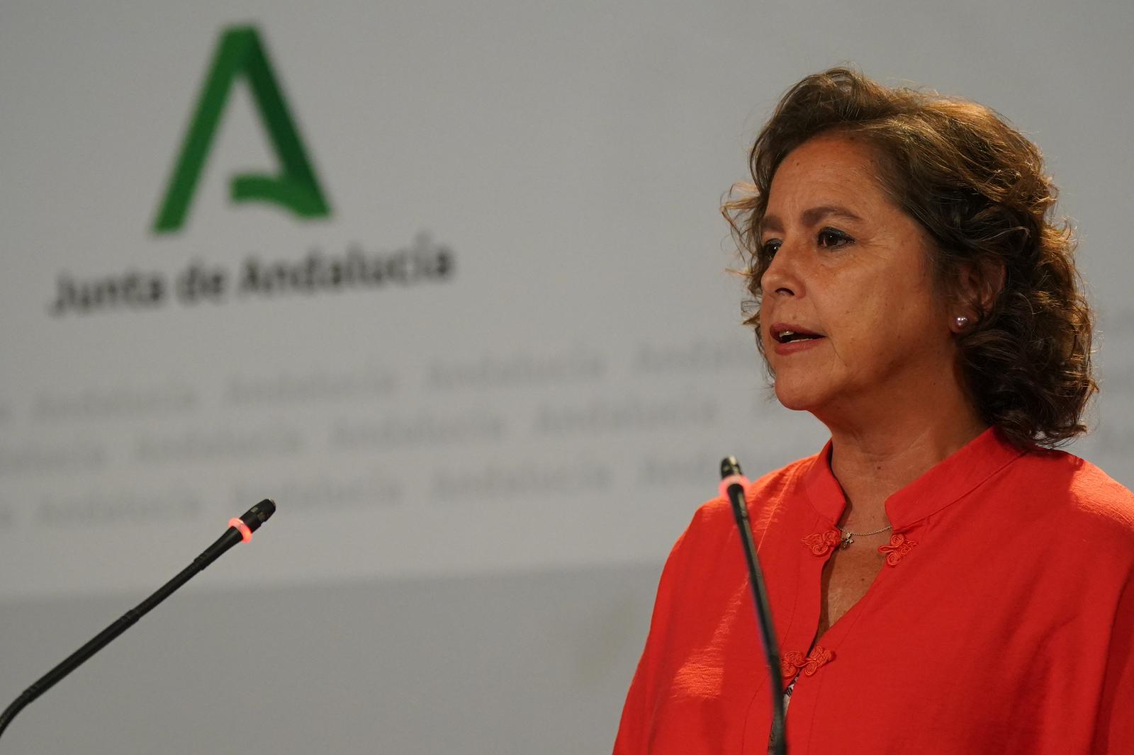 La consejera de Medio Ambiente, Catalina García, durante la rueda de prensa posterior al Consejo de Gobierno. 