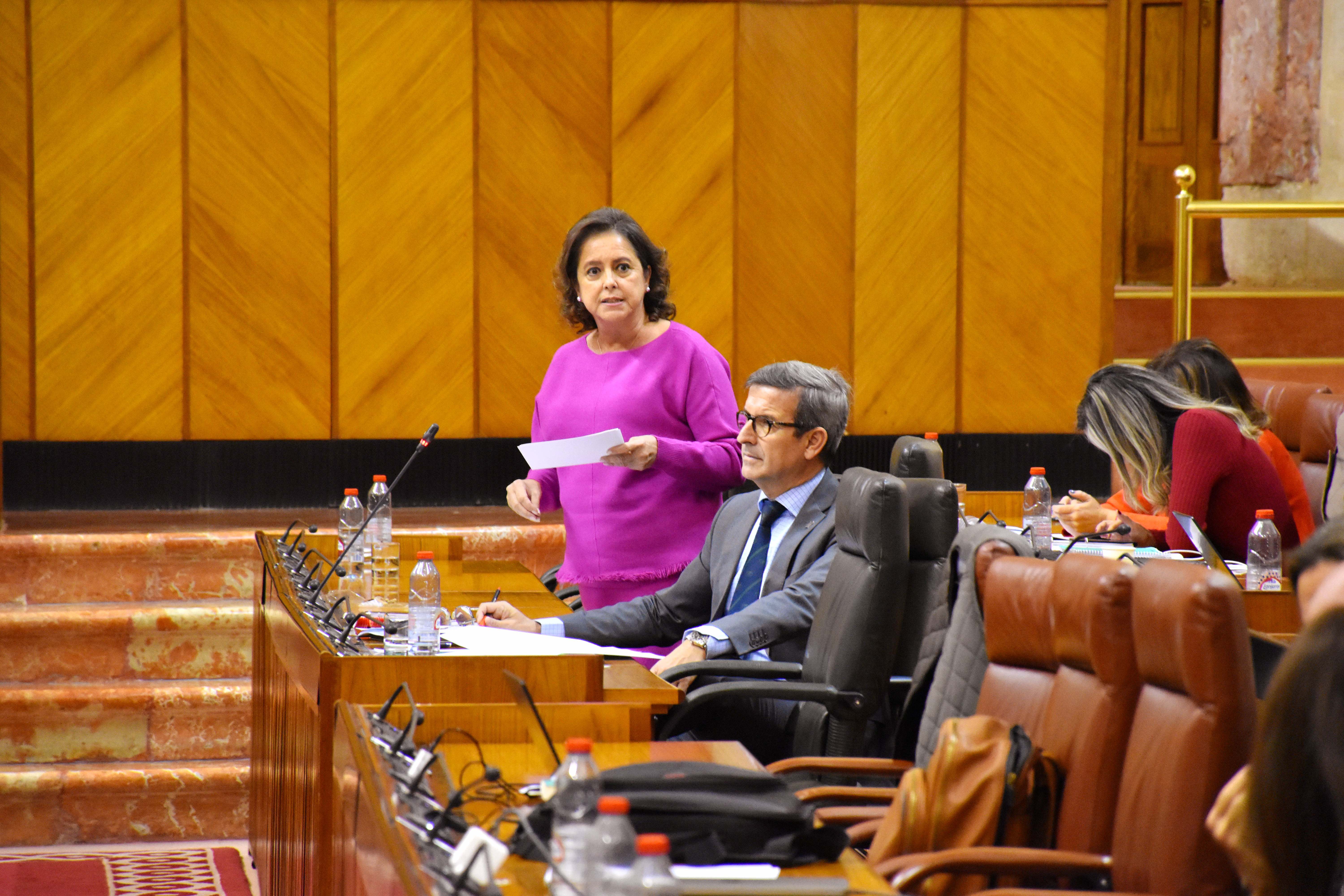 Catalina García, en el Parlamento de Andalucía.