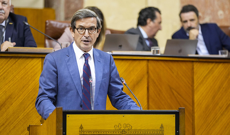 El consejero de Industria, Energía y Minas, Jorge Paradela, en su intervención en el Pleno del Parlamento de Andalucía.