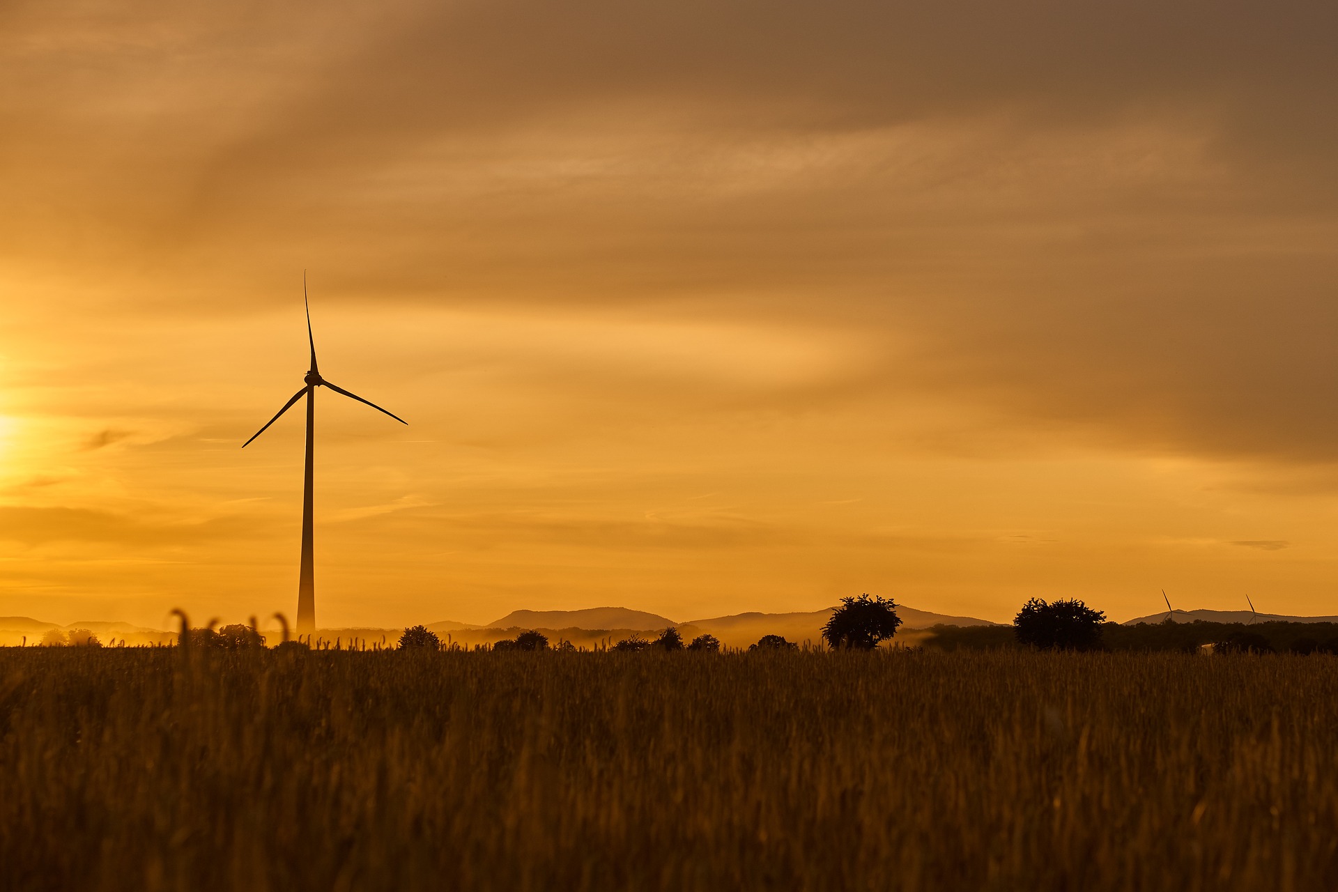 La Junta somete a información pública el anteproyecto de Ley pa.ra la Gestión Ambiental de Andalucía