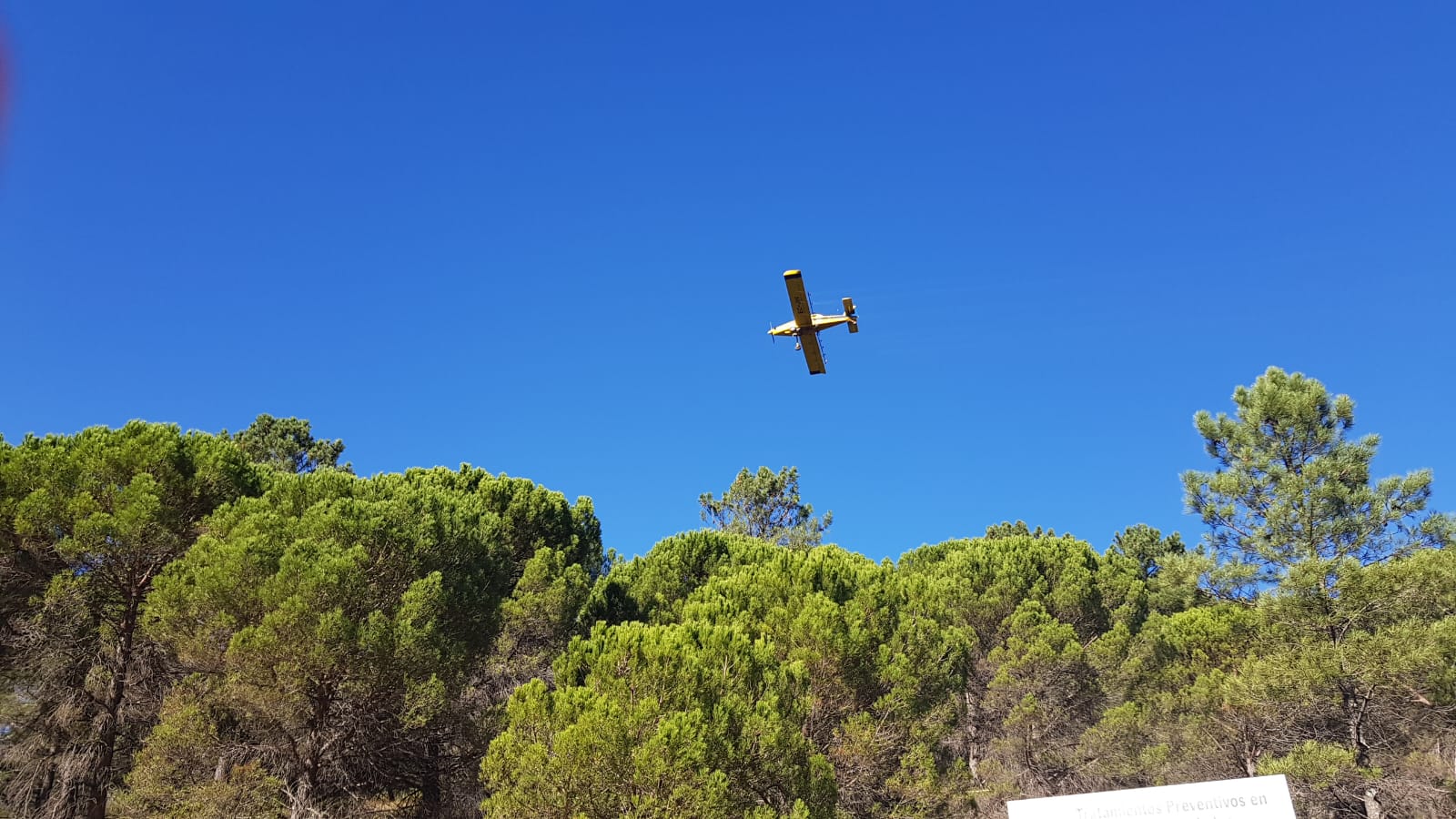 La Junta controla los agentes nocivos en los montes.