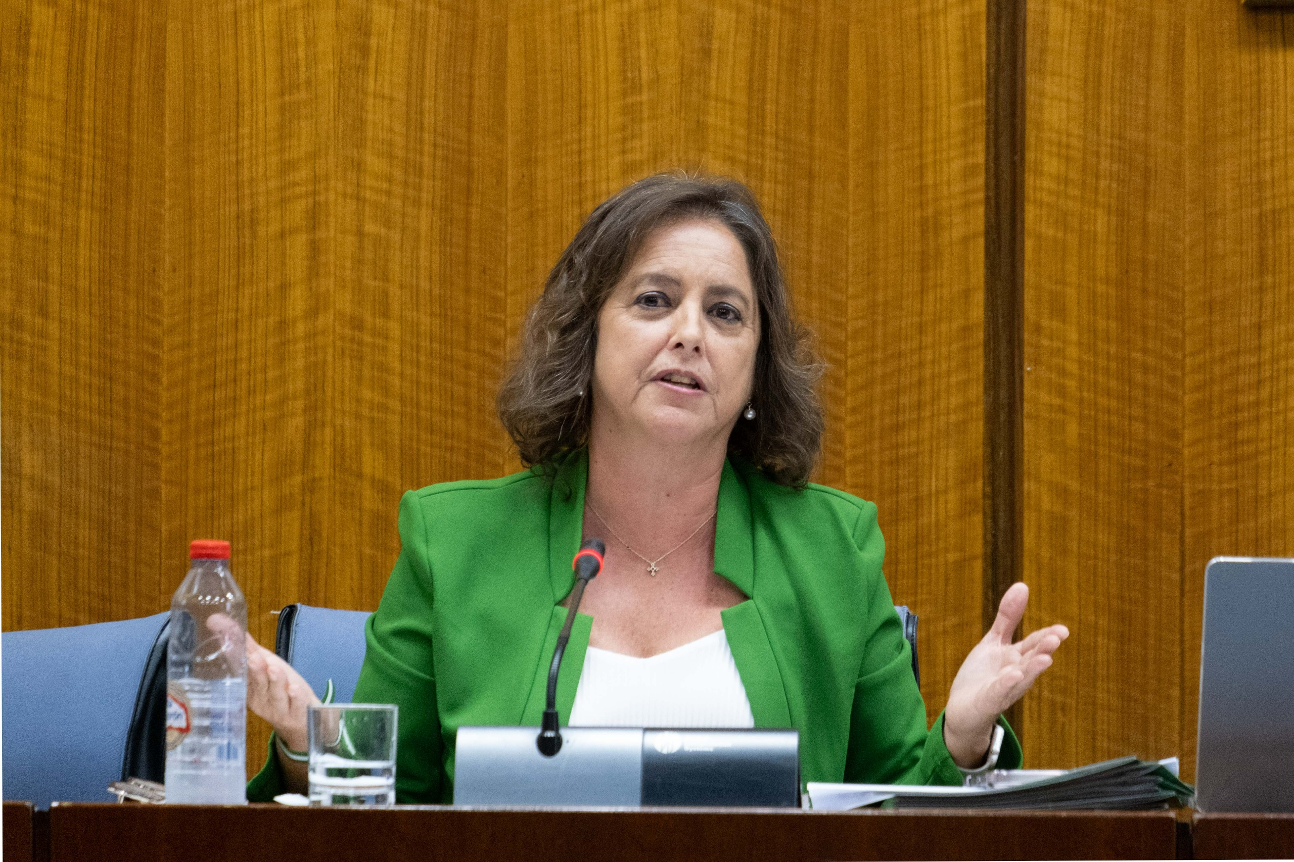 Catalina García, en la Comisión de Sostenibilidad del Parlamento de Andalucía.