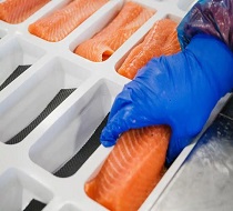 Trabajo en Noruega en piscifactoría de salmones