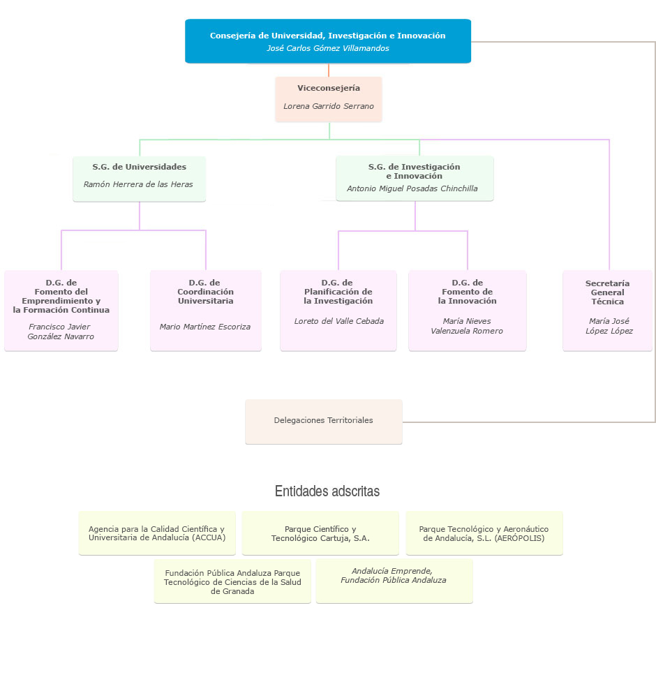 Organigrama de la Consejería de Universidad, Investigación e Innovación