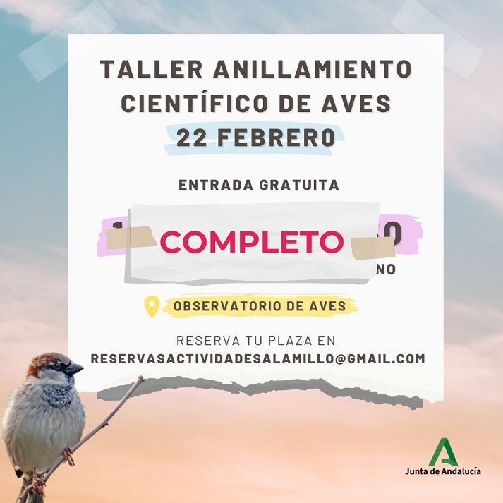 20250217_ALAMILLO_AGOTADAS_PLAZAS_ANILLAMIENTO_AVES.jpg