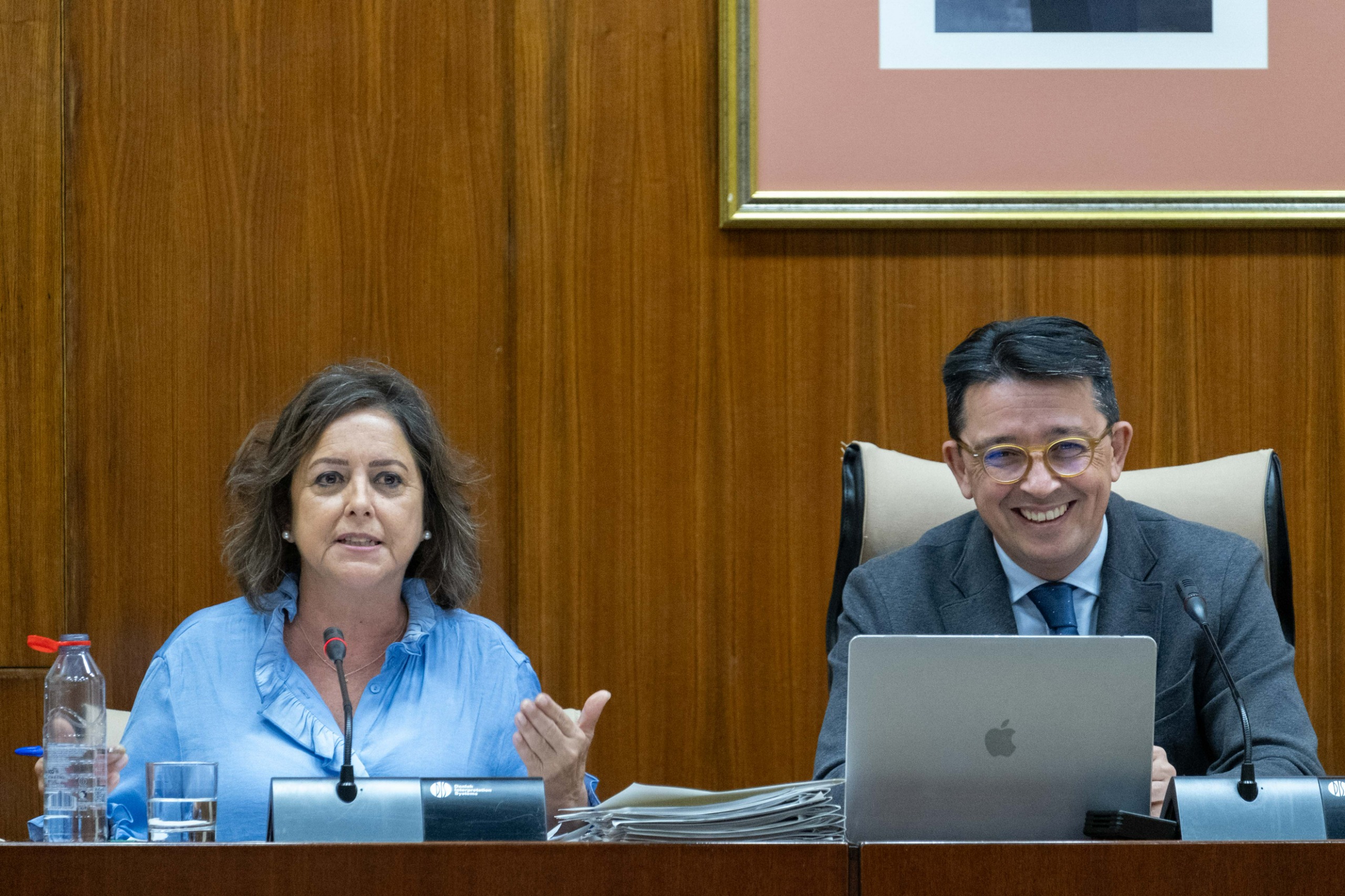 La consejera de Sostenibilidad y Medio Ambiente, en la Comisión celebrada hoy.