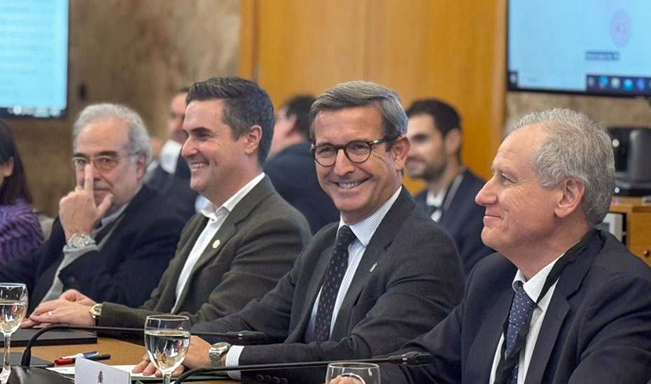 El consejero de Industria, Energía y Minas, Jorge Paradela, en un momento de la Conferencia Sectorial de Energía celebrada en Madrid.