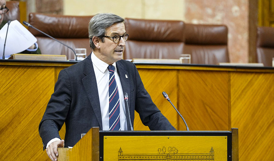 El consejero de Industria, Energía y Minas, en una comparecencia en el Pleno del Parlamento de Andalucía.