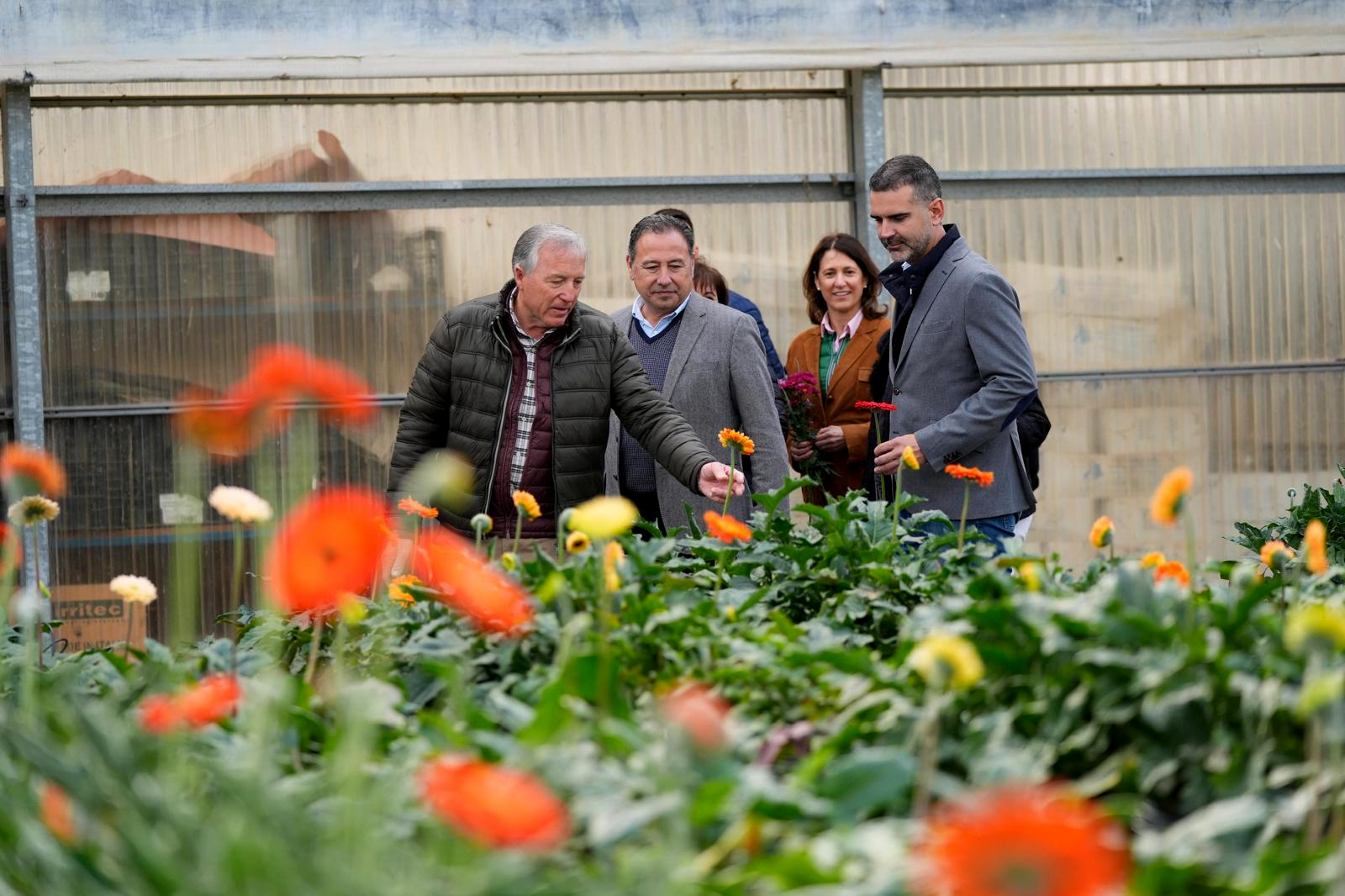 El consejero de Agricultura visita una empresa de flor cortada en Lebrija (Sevilla)