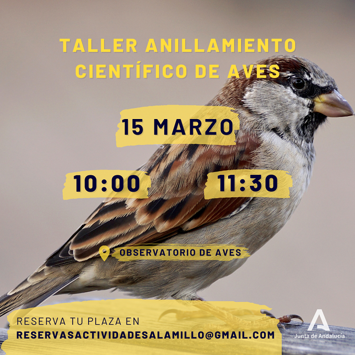 20250303_ALAMILLO_ANILLAMIENTO_AVES.png