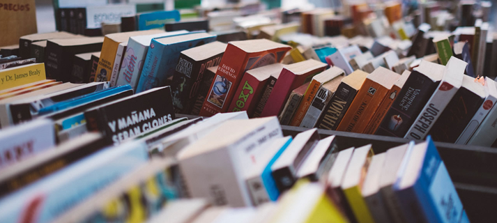 08mercadillo_libros.png