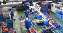 El número de empresas andaluzas inscritas en la Seguridad Social crece en mayo un 1,5% y supera el freno del conjunto de España