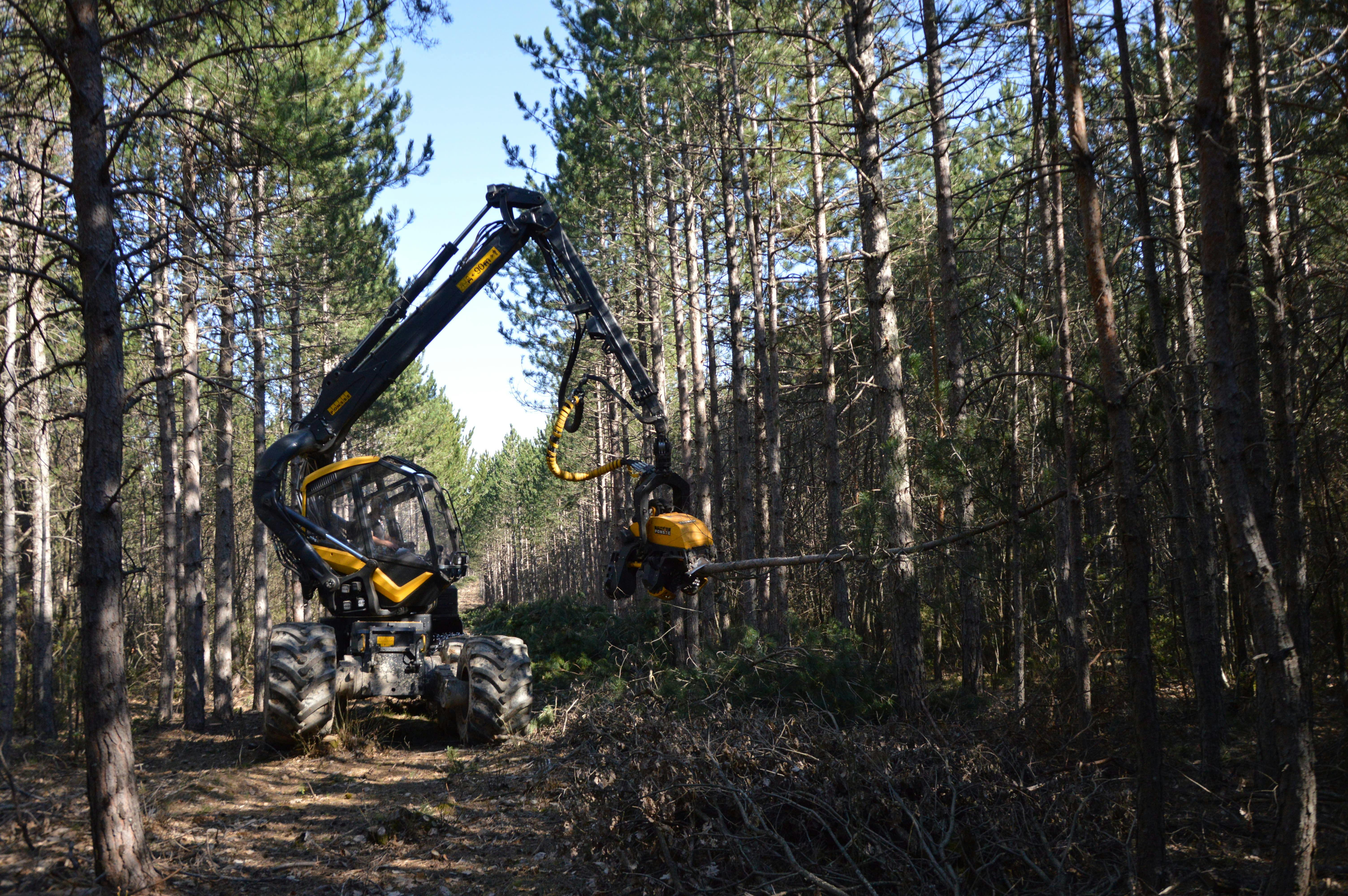 Maquinaria forestal.
