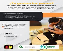 Cursos disponibles sobre adiestramiento e instrucción canina