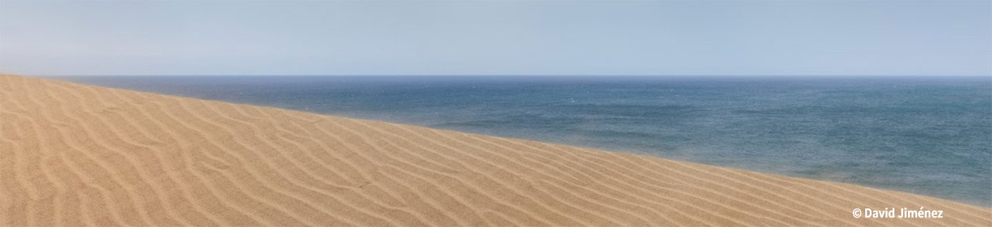 Misión Andalucía