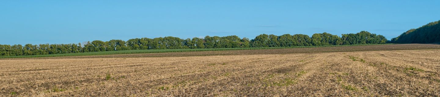 Próxima apertura de plazo: Enajenación de tierras vacantes procedentes del extinto IARA