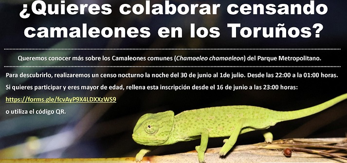 20260622_ALAMILLO_MARTES_CAMALEONICOS.jpg