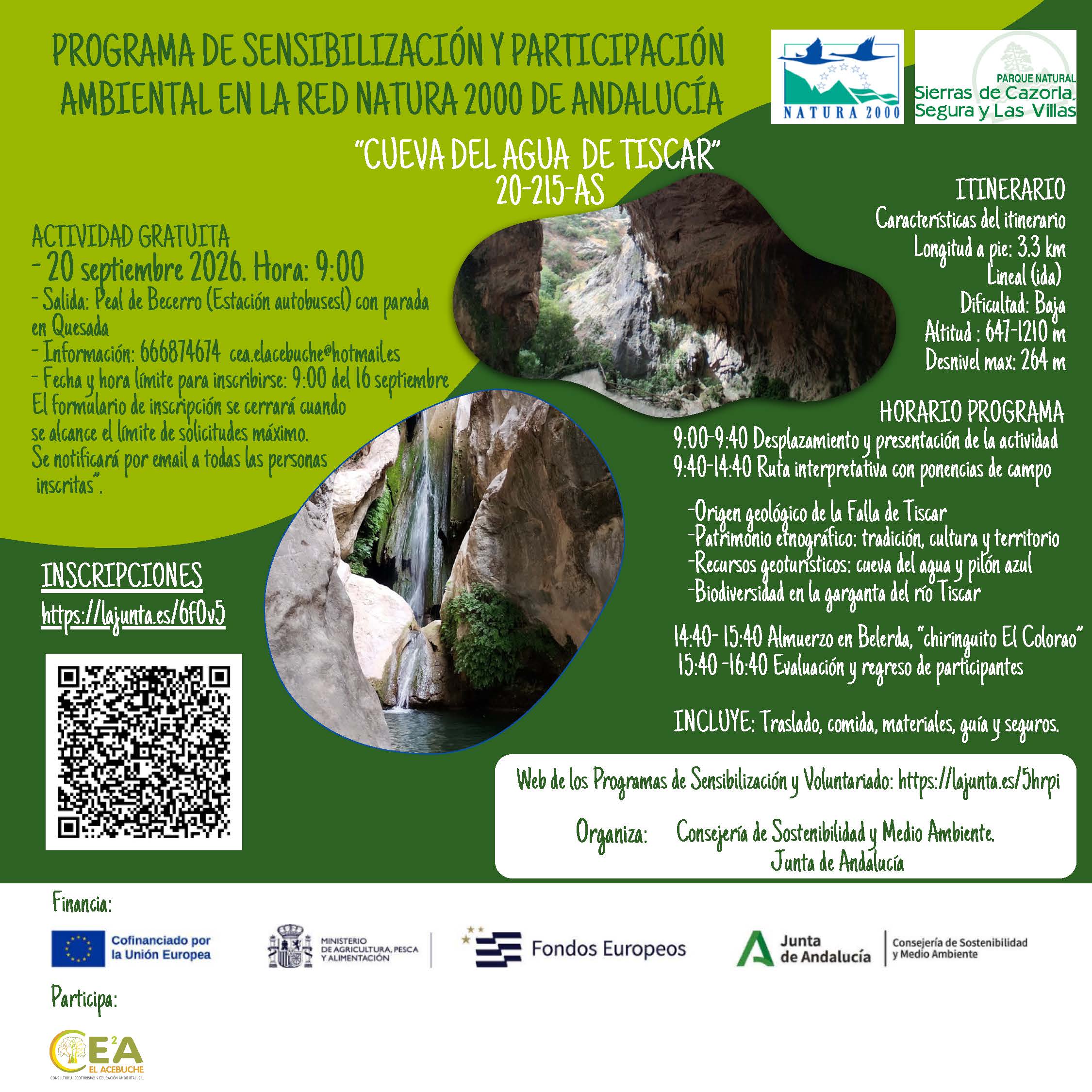 cartel de la actividad