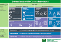 Dimensiones de la cultura preventiva