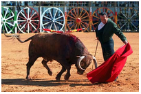 Red de Municipios Taurinos de Andalucía (REMTA)