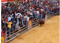 Red de Municipios Taurinos de Andalucía (REMTA)