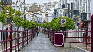 Red de Municipios Taurinos de Andalucía (REMTA)